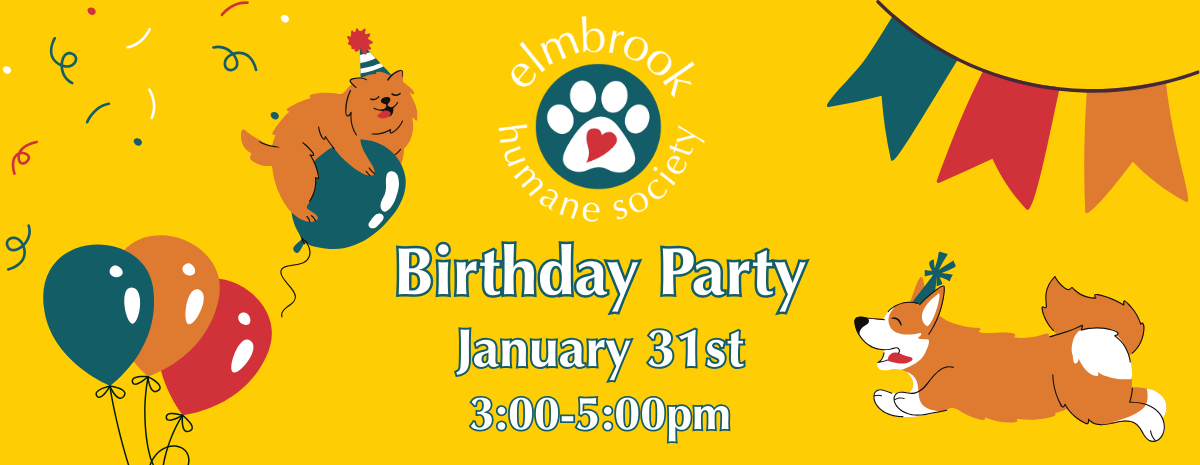 Birthday Party - January 31st, 3-5pm